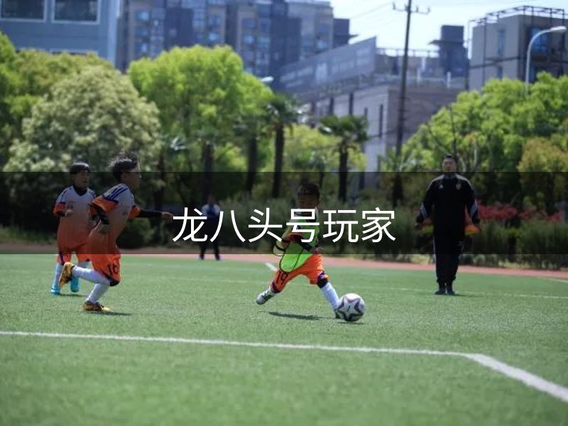 关于本站